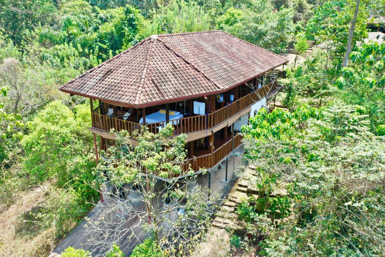 Wanakaset Forest Glamping Китулгала Екстериор снимка
