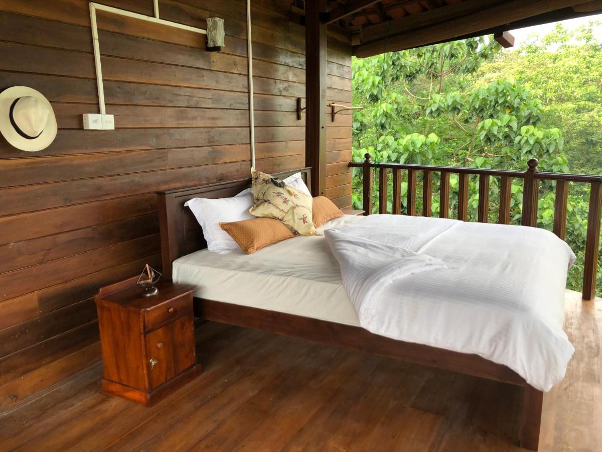 Wanakaset Forest Glamping Китулгала Екстериор снимка
