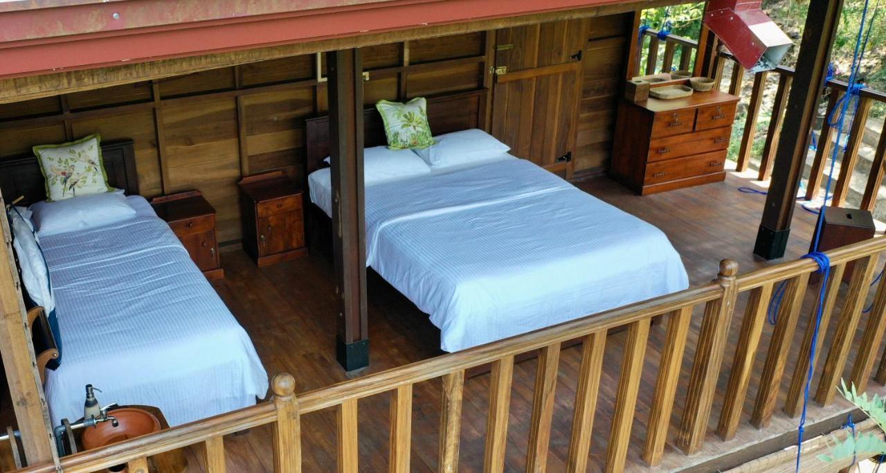 Wanakaset Forest Glamping Китулгала Екстериор снимка