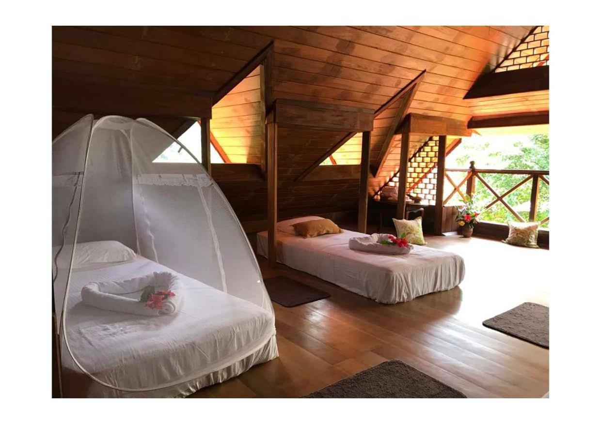 Wanakaset Forest Glamping Китулгала Екстериор снимка