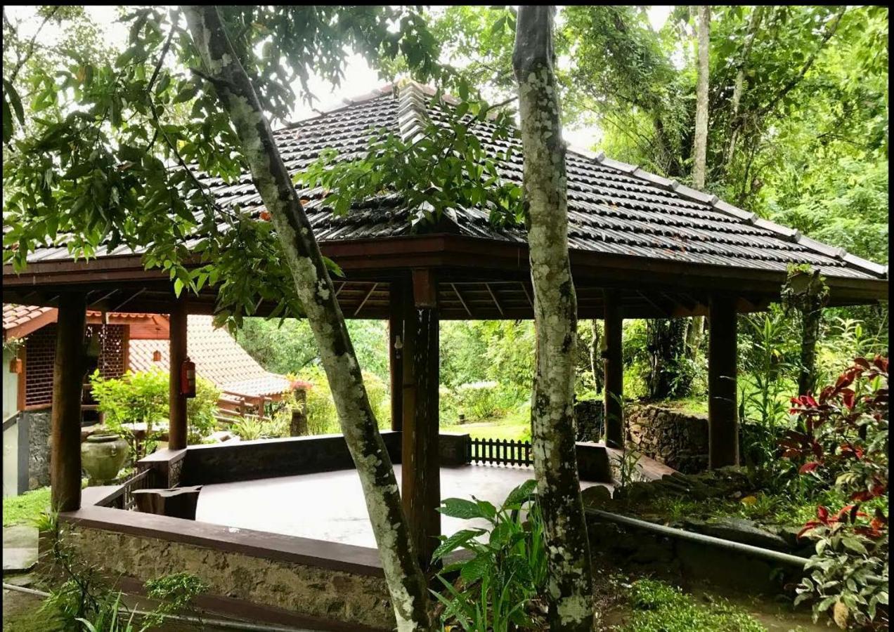 Wanakaset Forest Glamping Китулгала Екстериор снимка