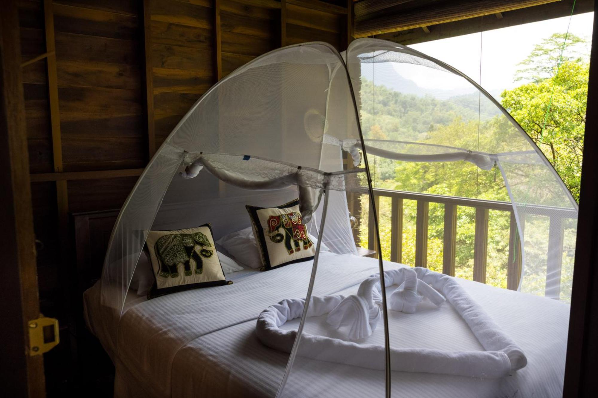 Wanakaset Forest Glamping Китулгала Екстериор снимка