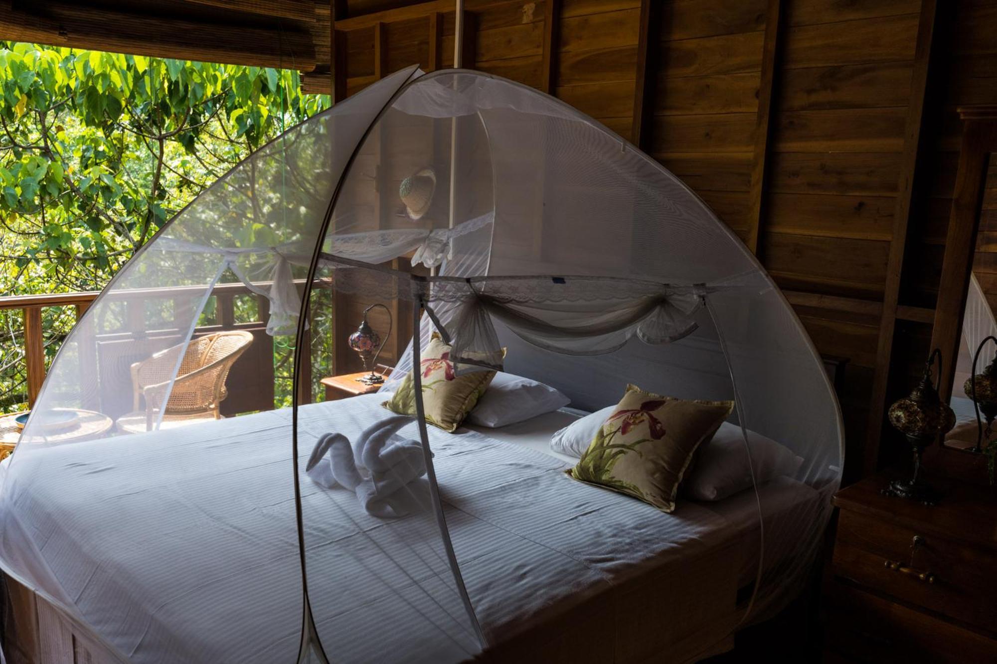 Wanakaset Forest Glamping Китулгала Екстериор снимка