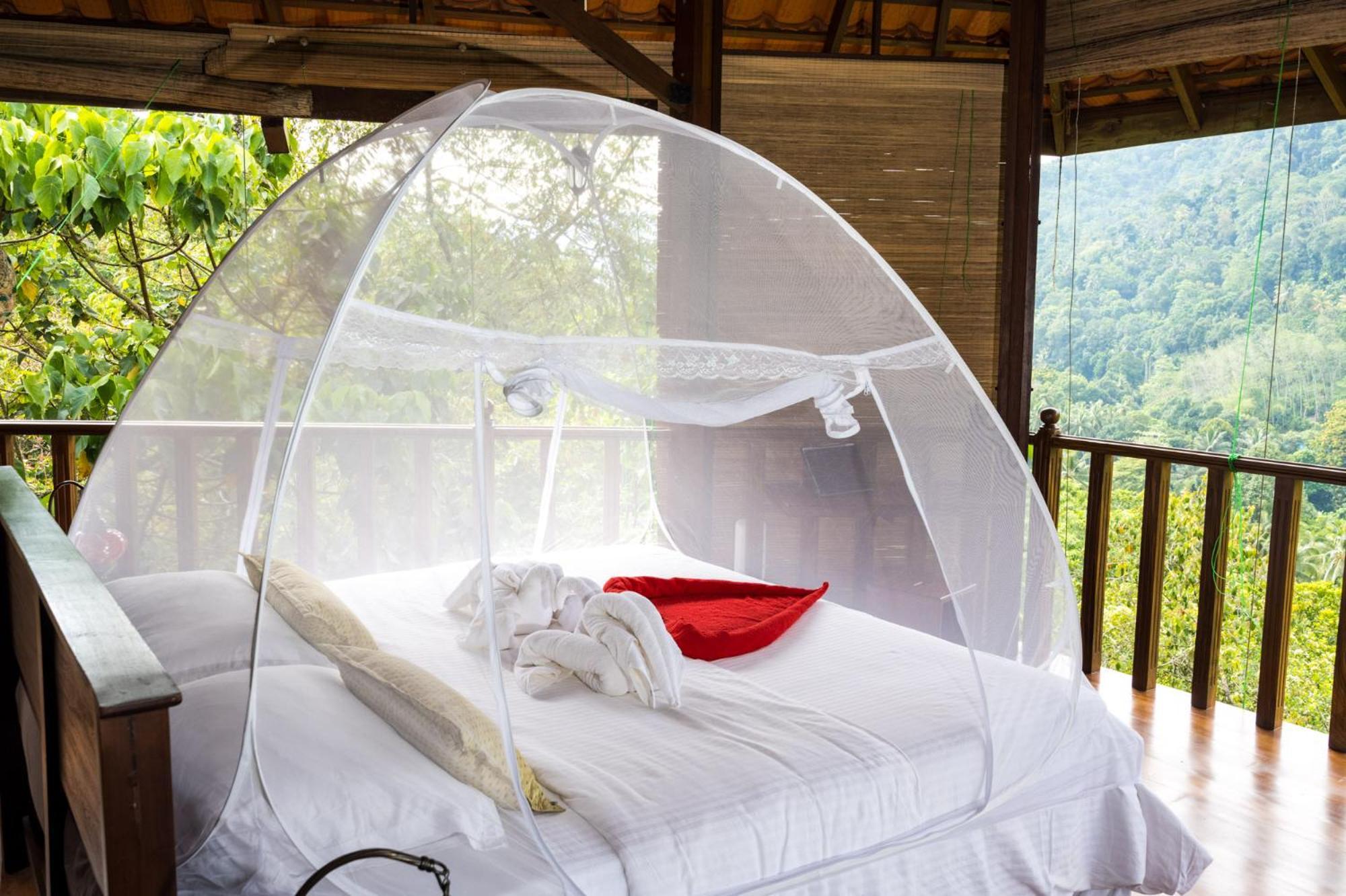 Wanakaset Forest Glamping Китулгала Екстериор снимка