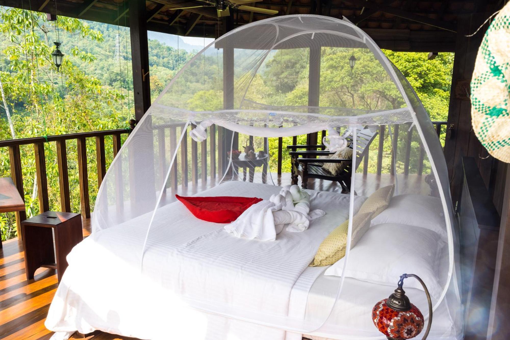 Wanakaset Forest Glamping Китулгала Екстериор снимка