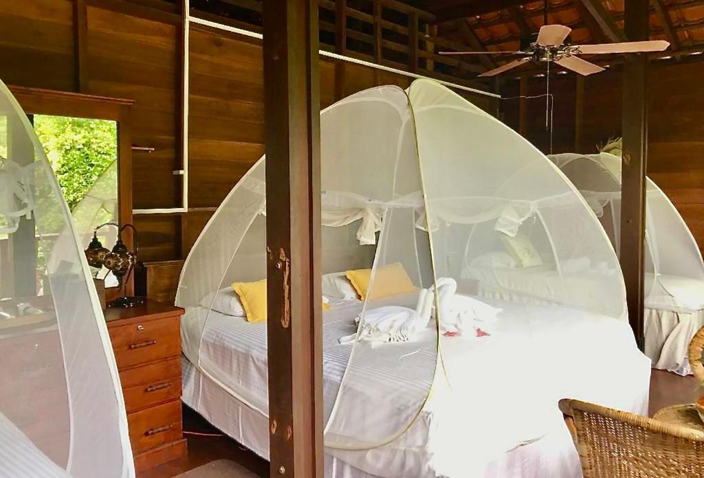 Wanakaset Forest Glamping Китулгала Екстериор снимка