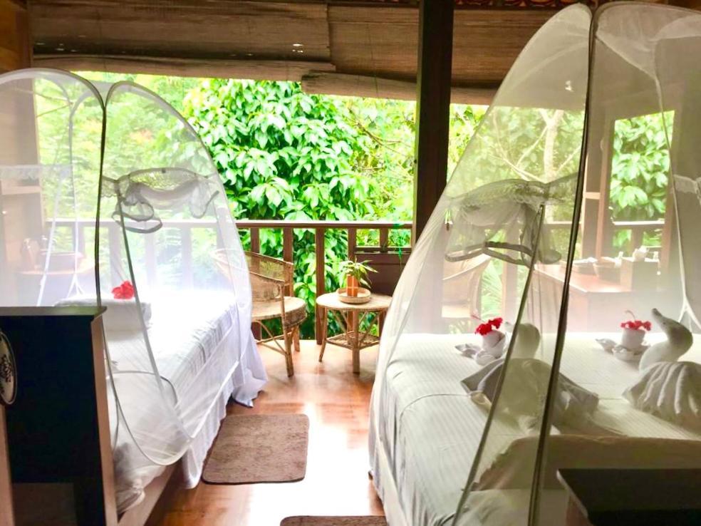Wanakaset Forest Glamping Китулгала Екстериор снимка