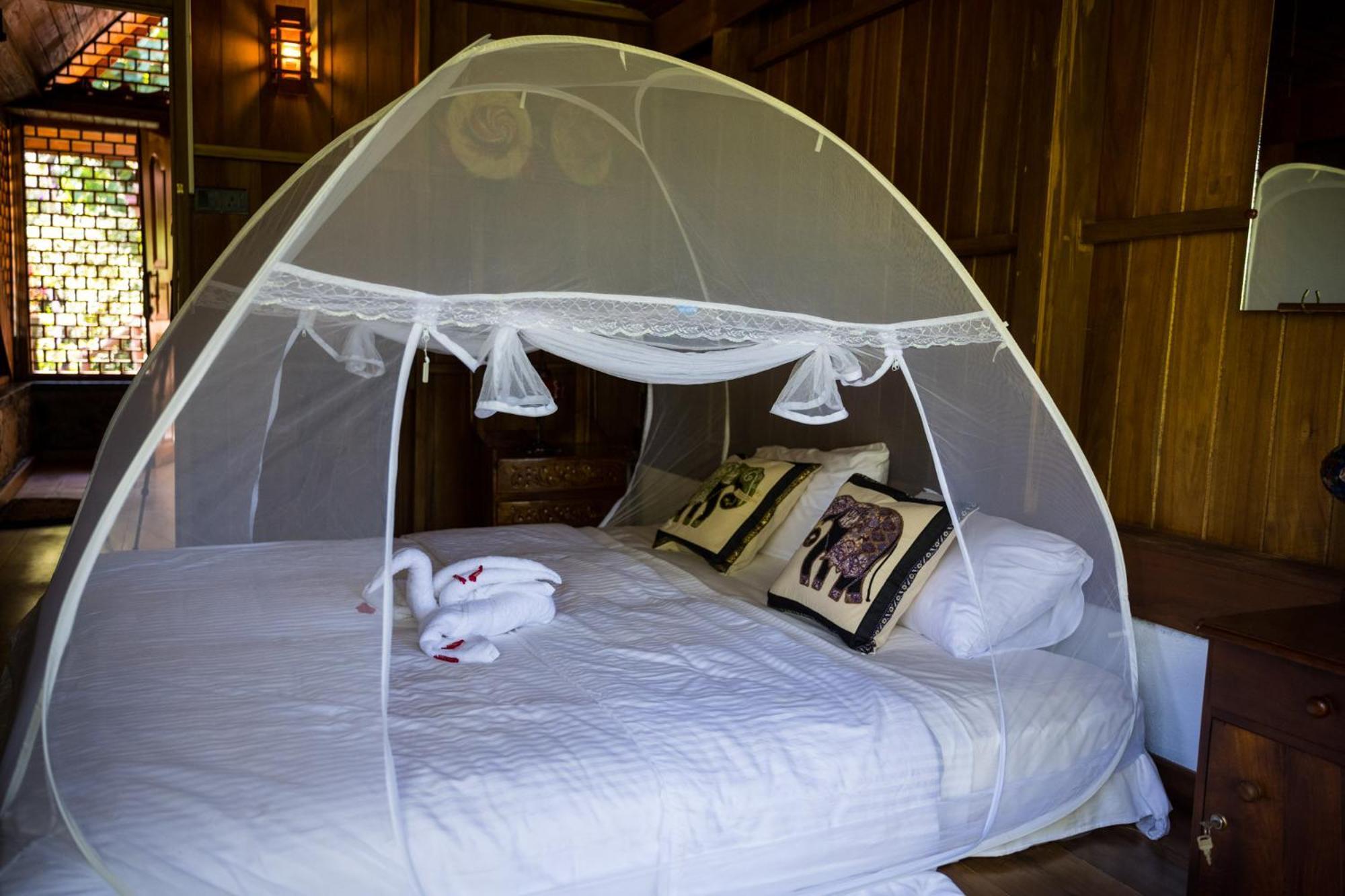 Wanakaset Forest Glamping Китулгала Екстериор снимка