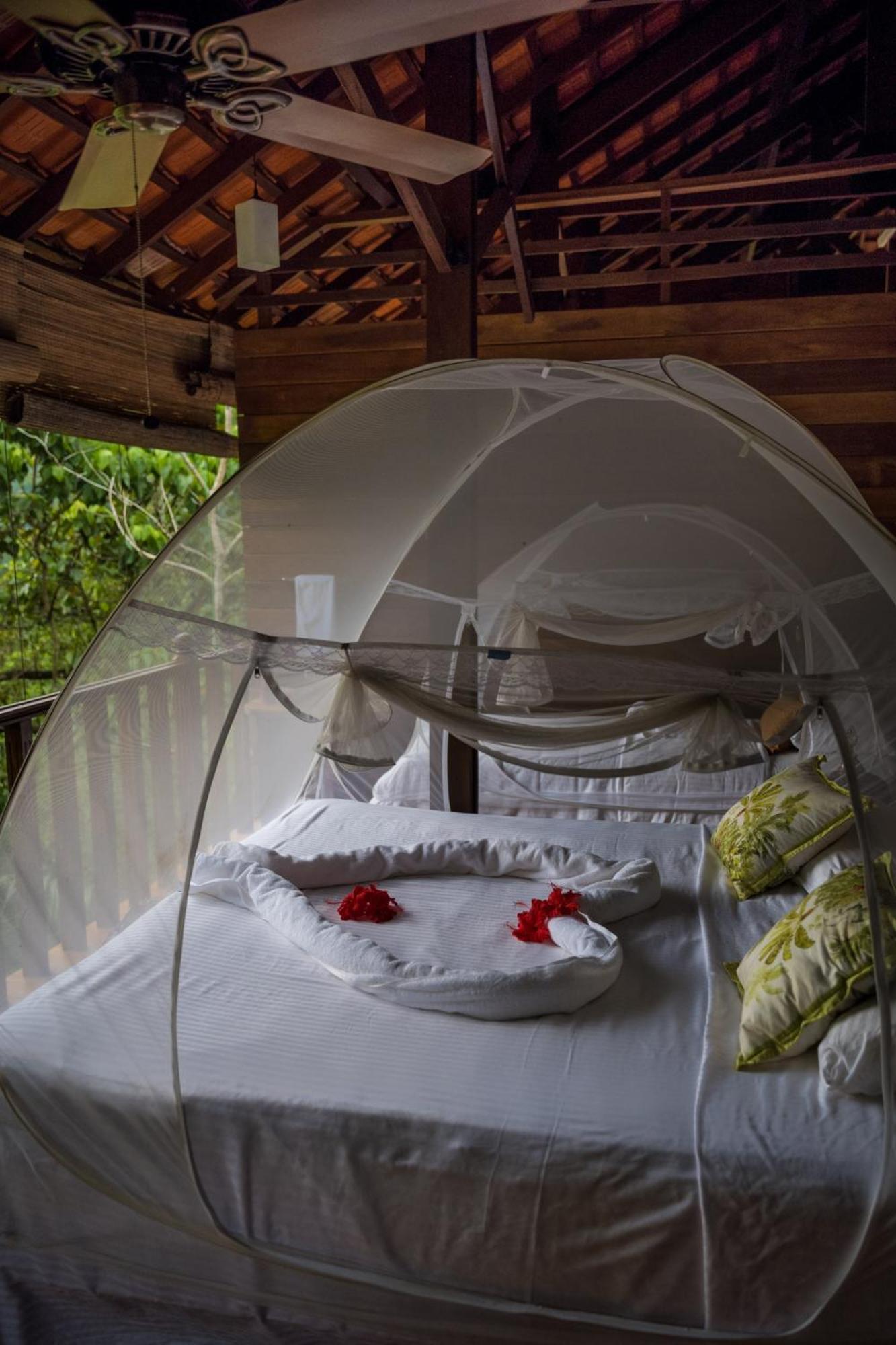 Wanakaset Forest Glamping Китулгала Екстериор снимка