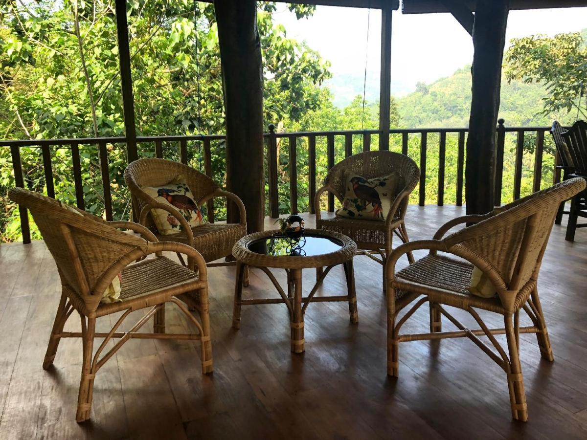 Wanakaset Forest Glamping Китулгала Екстериор снимка